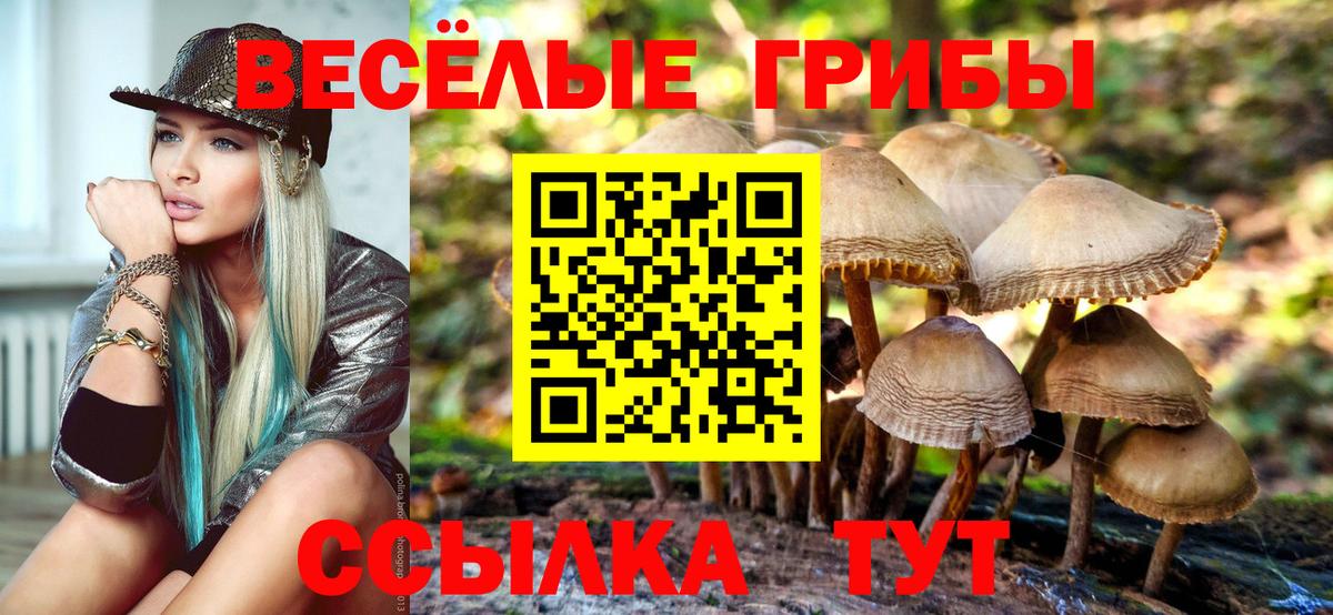 Псилоцибиновые грибы ЛСД  Галлюциногенные грибы ЛСД  Сухой Лог  Вход с VPN 