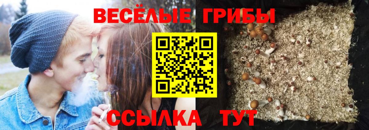 Галлюциногенные грибы ЛСД Сухой Лог
